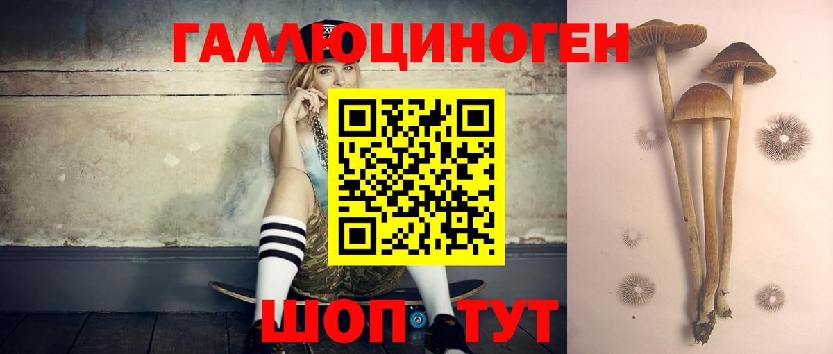 Галлюциногенные грибы GOLDEN TEACHER  Галлюциногенные грибы Cubensis  Тверь  Вход с VPN 